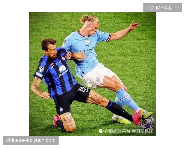 霍芬海姆进攻多样性，阿斯拉尼前场活动范围分析